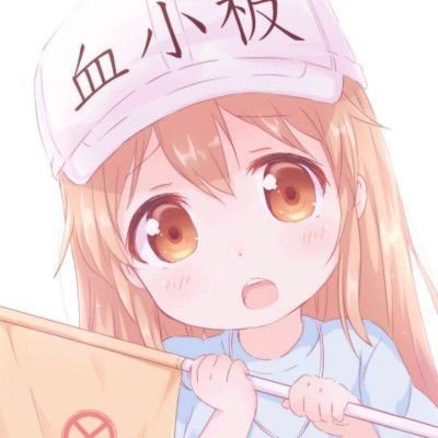 广西环江坠河车辆已打捞上岸